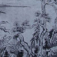 长在眼角的痣是什么痣 右眼角有痣有旺财特征