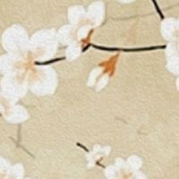 2022年3月22日出生最佳女宝宝名字鉴赏 悦耳顺口的女孩名