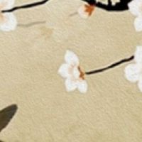 2022年3月23日出生的女宝宝名字合集 最新版属虎女孩名字