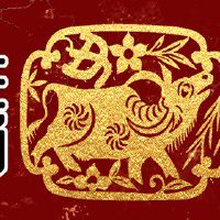 2022年生肖考试运排行 学习努力天赋加成