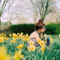 外观很强,非常脆弱的黄道带