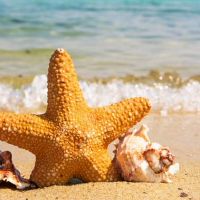 朋友永远不会设置三天可见星座