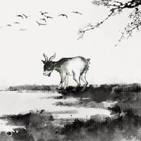 1979年属羊人2022年运势及运程 整体运势较为平稳