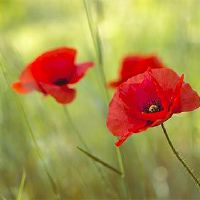 2022年，农历新年3月23日不适合我女朋友的婚姻？