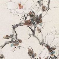 五位数字的车牌总共有多少个 盘点人丁兴旺车牌号