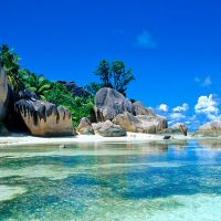 十二属的最好的生日