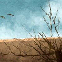 甲木是什么木 甲木参天脱胎要火