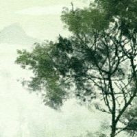 哪个地方在今年中年有二十四年