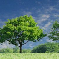 2022徐姓虎婴儿名称方法和推荐