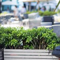 你不在乎的越多，你爱你越多，爱这些星座男人，你必须听到！