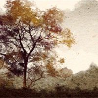 你必须在新的一年里买餐具吗？这种裁决是三层。你知道吗？