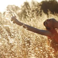 社会,最成功的黄道带