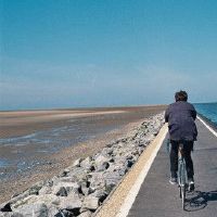 12星，你将被埋葬爱情，不知道！