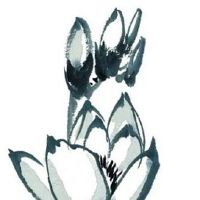 女人四大福气痣 脖颈处痣意为天鹅'颈上痣'