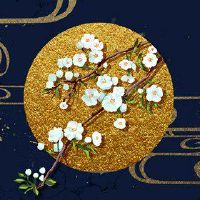 12星十二生肖新年,一个播放卡救助2022