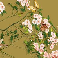 炉中火生了个金箔金宝宝 这种命运旺运方法推荐