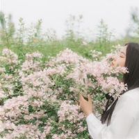 你认为最好的欺骗，实际上是聪明而不透露智慧的三星级席位，只是解雇了