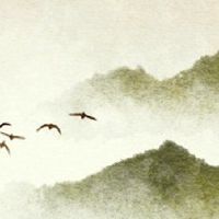 让神清洁健康禁忌避免行李箱移动