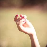 黄道十二型运动时间和命运