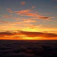 这些黄道带人非常被爱,但态度很冷。