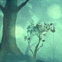 壬寅日柱看2022年运势 壬水坐支寅对冲交易