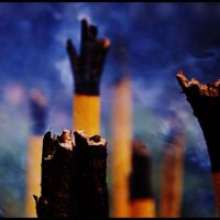 灾难香的一般是什么？什么是禁忌？