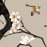 断掌两个双手断掌的男人命运 独立性强财富增长