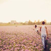 12个星座爱无法结束结束