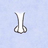 背上有一颗凸起的黑痣好不好 文采出众不畏艰苦受人敬仰