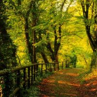 为什么你有一个真理,你可以遇到真爱?