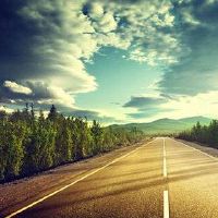 猫狗在家里是什么？