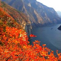 美德八个人物丰富的生活