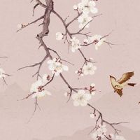 本命年佩戴三合好还是6合好 属虎人本命年带猪形手镯运势佳