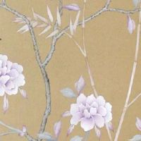 旺夫相的女人痣 左下巴有痣荣华富贵