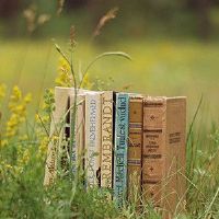 恒定,自然,非常缺乏安全星座