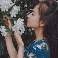 大场景并不混淆，它可以始终表现出突出的星座。