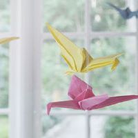 哪个星座可以摇动？