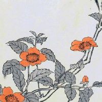 五行穿衣每日指南:2022年3月18日穿什么颜色旺运势