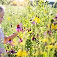 女孩的五个元素是如何在2022年的农历新年的17日出生的？