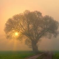 在清明节搬家是好的吗？它在4月4日在2022年结算吗？