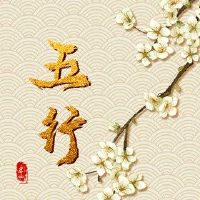 情侣,婚姻,五行,五个元素,如何看婚姻