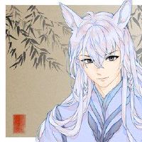 性女人面部地图人狭窄和弯曲