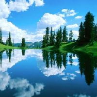 如何在2019年10月26日生日诞生后获得名称