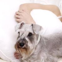 Kiddo星级一周星座财富(1.24-1.30)