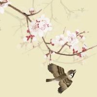 投资公司好听的名字 精选企业起响亮名字