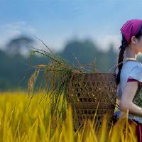 我想被迷恋，我只需要这四个大星座。