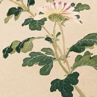 2022年4月28日冲什么属相 属什么生肖