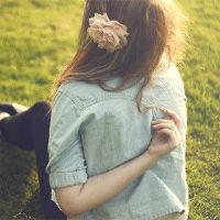 最受欢迎的十二生肖