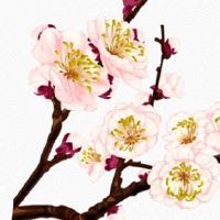 2022年4月16日出生最佳女宝宝名字鉴赏 女孩起名有魅力的