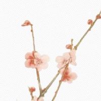 2022年正月初十出生的女孩命好吗 五行缺什么